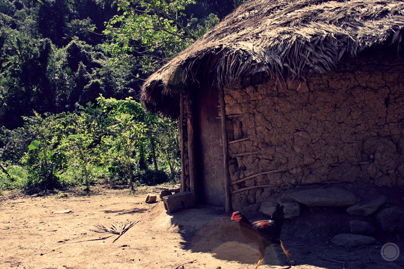 Colombia - Photograph